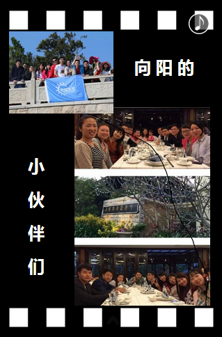 向陽生涯招聘：2015帶你一起飛