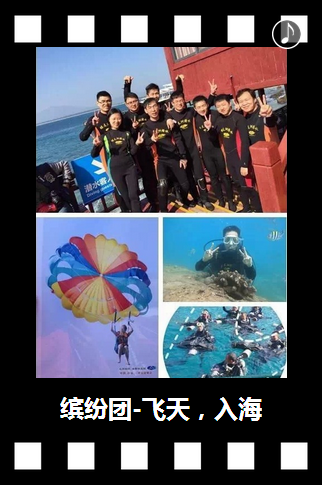 向陽生涯招聘：2015帶你一起飛